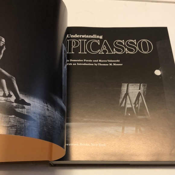 Understanding PICASSO - hardcover book by D. Porzio and M. Valse chi - Picture 5 of 14